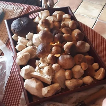 Séjour chez l'habitant D'hôte La Fessille Fayet-Ronaye