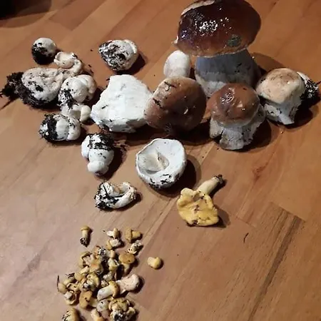 D'hote La Fessille * Fayet-Ronaye