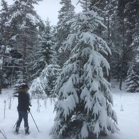 Проживание в семье D'hote La Fessille *