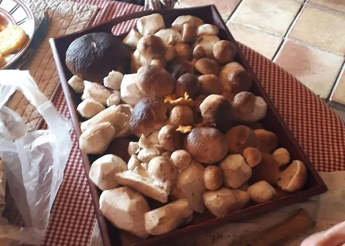 منزل للإقامة D'hote La Fessille Piscine Et 2 Personnes Fayet-Ronaye