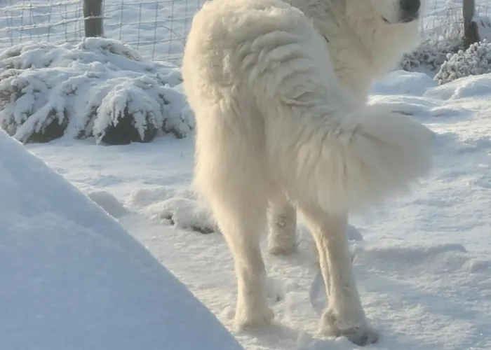 منزل للإقامة D'hote La Fessille Piscine Et 2 Personnes *